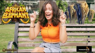 Erstes Treffen mit dem Spiel African Elephant – Aber kann sie gewinnen? screenshot 1
