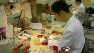 swine flu tops list of 2009 health issues