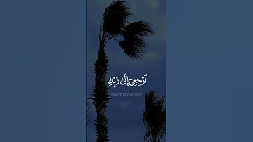 يا أيتها النفس المطمئنة - #عبدالباسط_عبدالصمد -  #سورة_الفجر #حالة_واتس