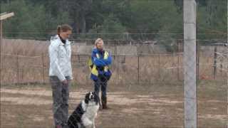 Connor E1exam 20121014 HD