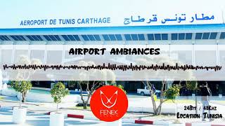 Airport crowd ambiances 02 (free download, 24bit48khz)