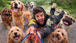 ¡SOY PASEADOR DE PERROS!* NO FUE COMO ESPERABA 