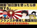 【ゆっくり解説】韓国さん、またフランスにかみつくもガン無視されてしまうｗｗ