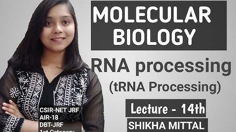 pre - tRNA PROCESSING - MOLECULAR BIOLOGY CSIR-NET JRF LIFESCIENCE