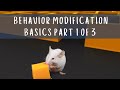 Behavior Modification Basics Part 1 of 3