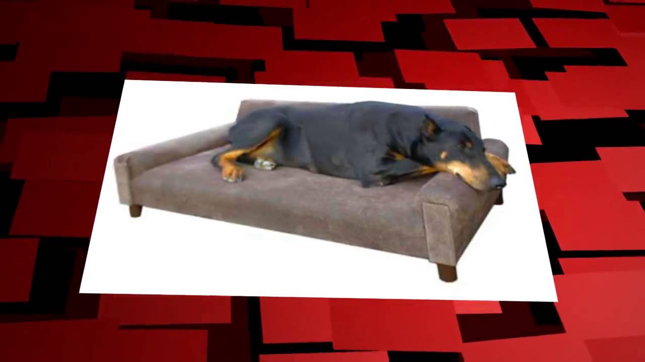TOP 5 STRONG SOFAS YouTube