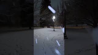 Download Lagu Winter walk 🚶 #snow #winter #viwes10milionplace #1k MP3