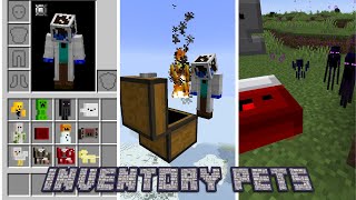 Minecraft mod showcase: Inventory Pets Forge screenshot 5