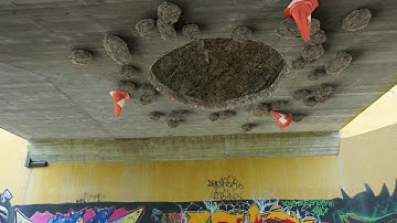 VFX Antigravity Portal - Cinema 4D + Octane + After Effects - Behind the Scenes