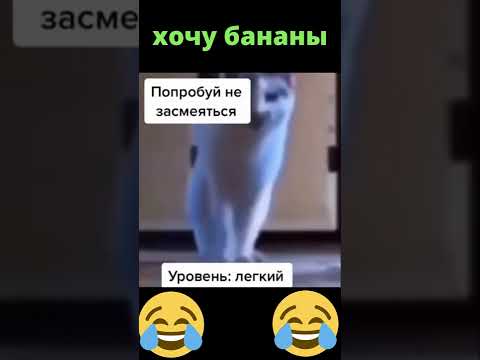 хочу банан. мазеллов банан. килограмм бананов. продаю бананы. хочу бананы.