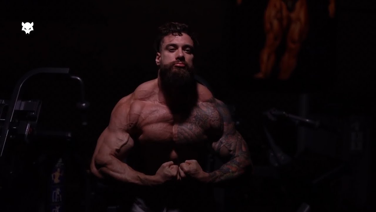 BAD WOLF 🐺 - Julio Gorila