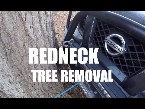 Redneck Tree Removal with a Woman Driving