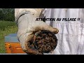 Replacer les traitements nourrir et isoler pour l'hiver #apiculture 2021