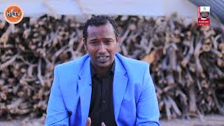 Download Lagu Fikir Cusub Oo lagu Dabar Goynayo Geedka Garan-Waaga MP3 Download Lagu Fikir Cusub Oo lagu Dabar Goynayo Geedka Garan-Waaga MP3