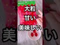 一番好きなグミ【三ツ星いちごスカイベリーグミ】
