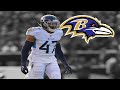 Andrew adams highlights   welcome to the baltimore ravens