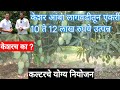 केशर आंब्याचीच लागवड का करावी ? एकरी 10 ते 12 लाख रुपये उत्पन्न Keshar Mango Plantation Information