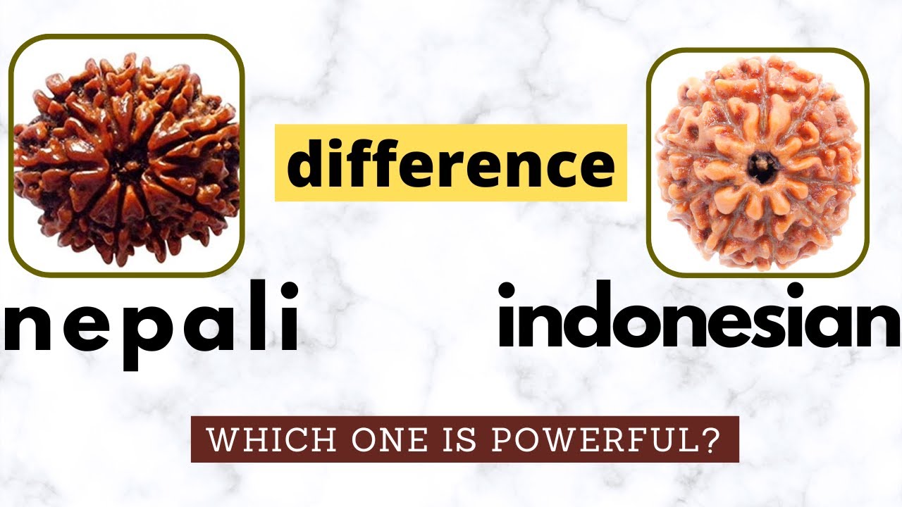 Nepali Rudraksha vs Indonesian rudraksha - which one is best?