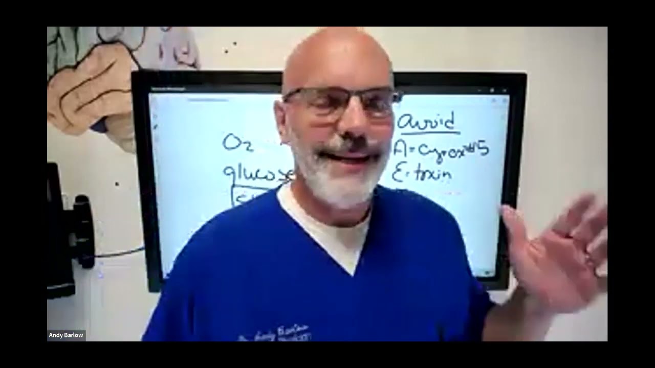 BiHemisphere Training with Dr. Andy Barlow YouTube