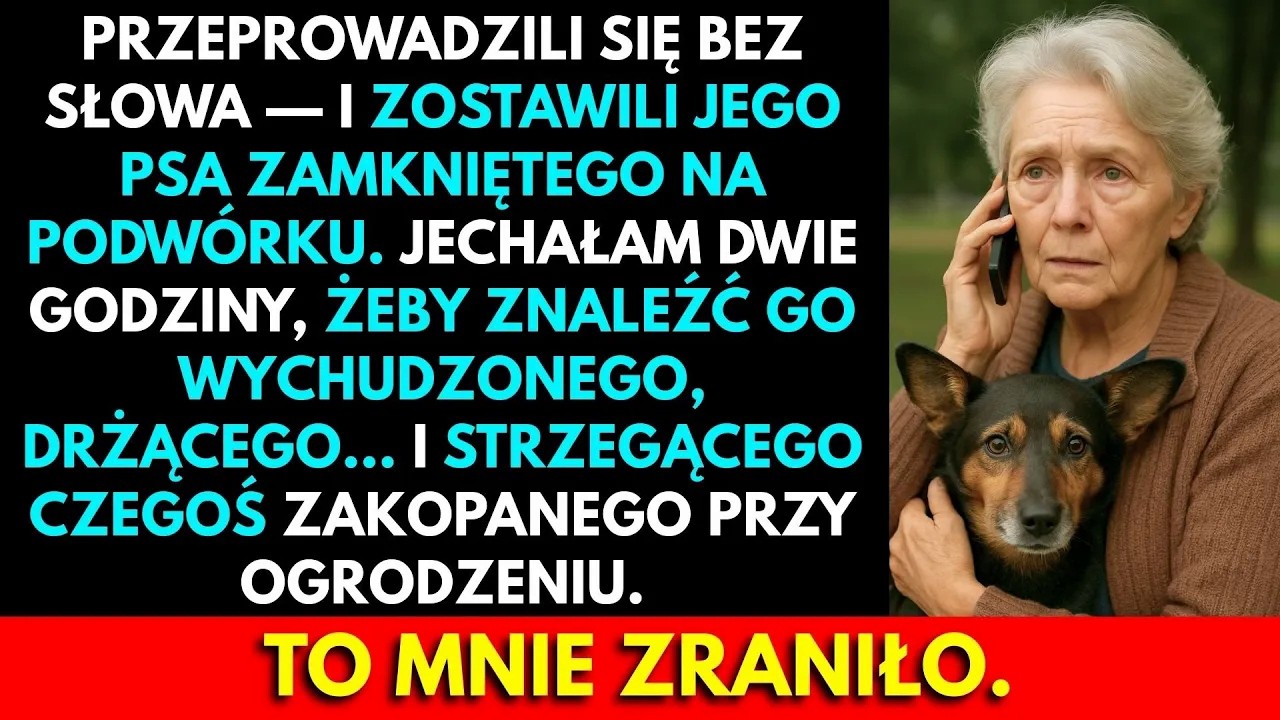 „Przenieśli się wczoraj w nocy. Możesz zatrzymać psa, jeśli chcesz.” Tyle. Żadnego cześć, żadnego żegnaj, nawet imienia na końcu. Wpatrywałem się w ekran o 6:42, czekając na coś więcej, ale...