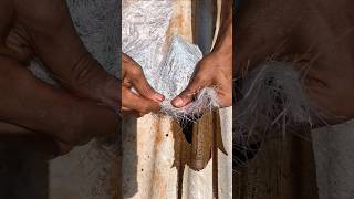 Mengatasi atap asbes yang bolong #fypシ #shorts #viralvideo