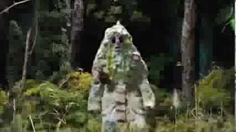 Grizzly Bear - Ready, Able [Official Music Video]