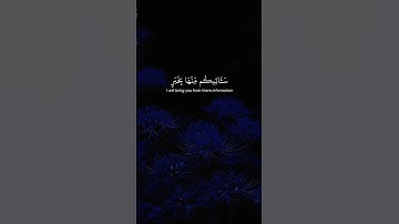 #قران_كريم #ارح_قلبك #اكسبلور #لايك #ياسر_الدوسري #تلاوة_هادئة