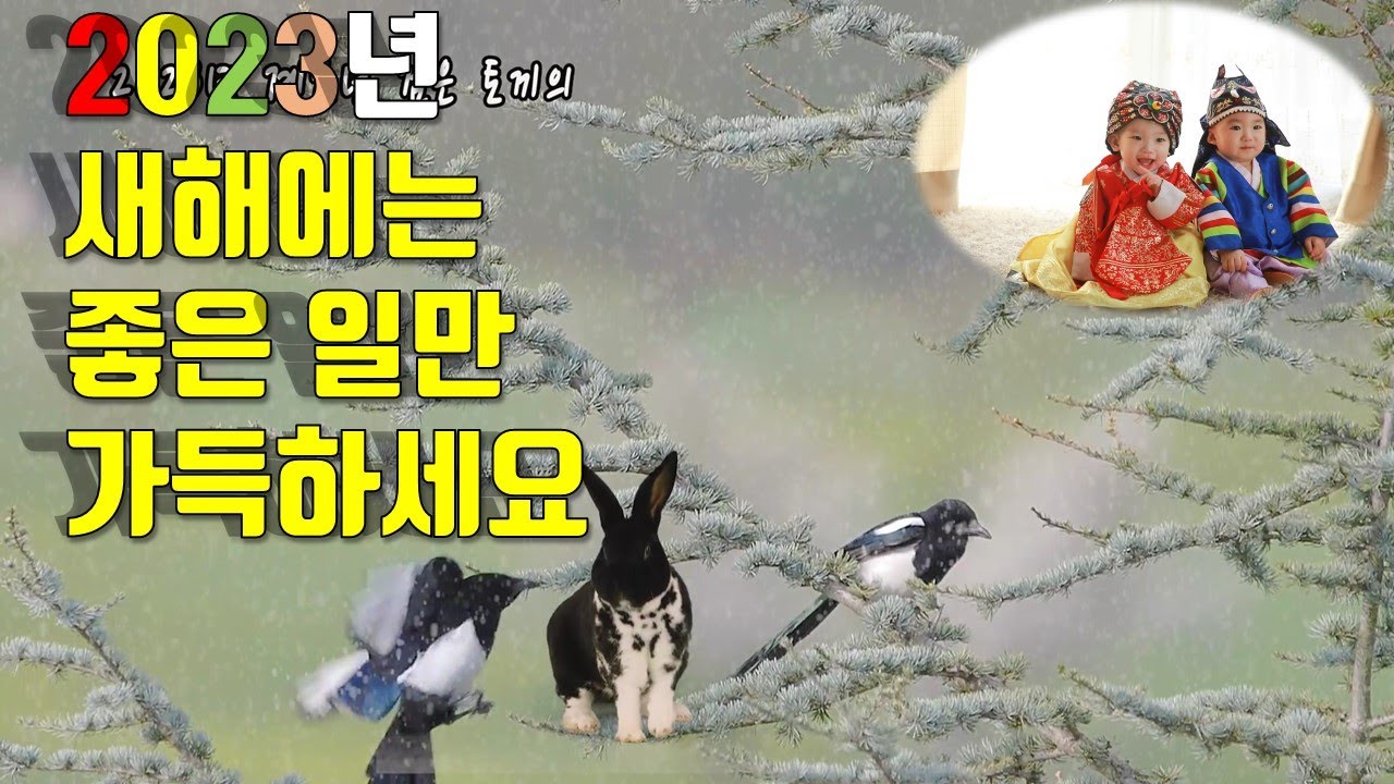 2023년 새해 설날 새배 드립니다 수안보 파수꾼 - YouTube