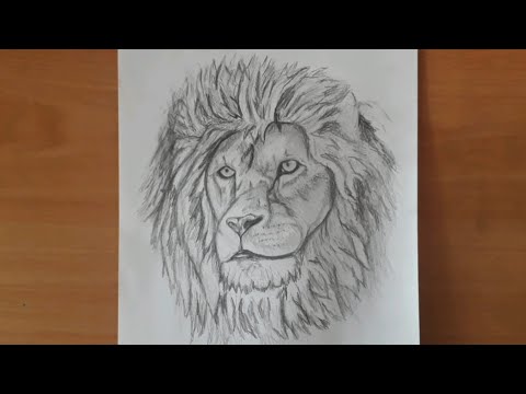 Video: Aslan çizimi: Kalemle Nasıl çizilir