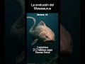 La evolución de Mosasaurus (según la IA)