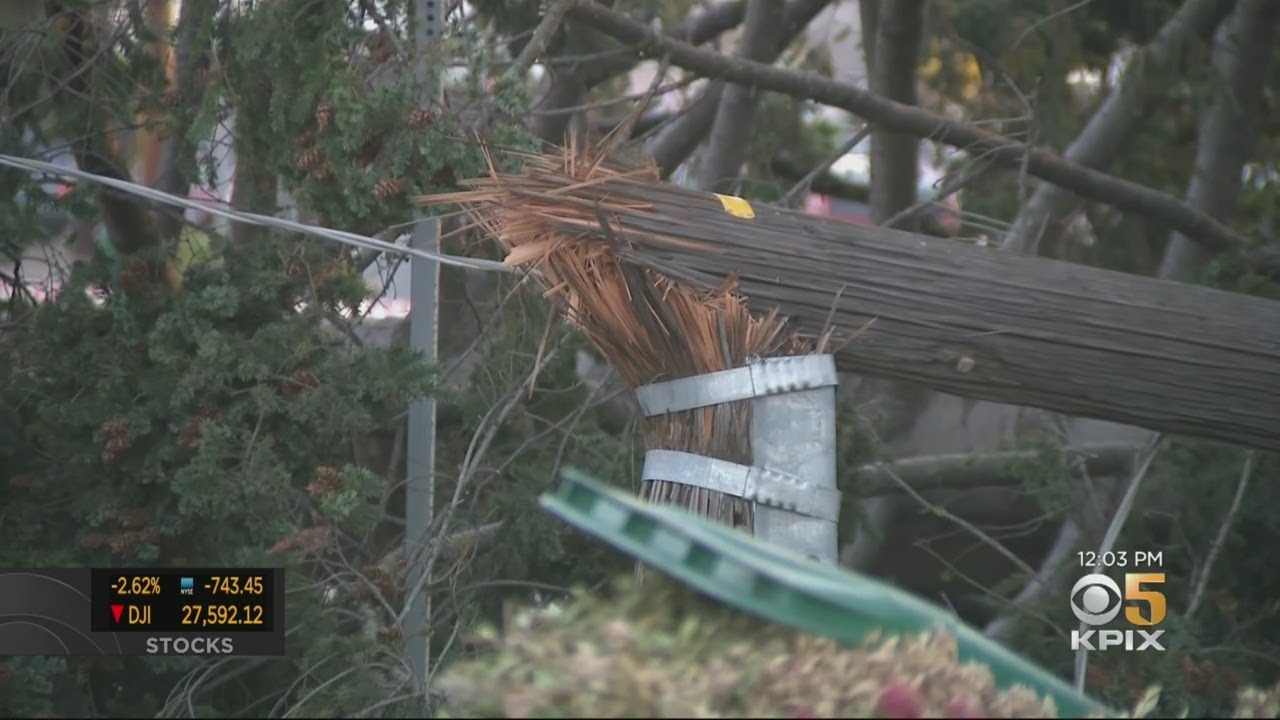 High Winds Knock Down Trees And Power Poles Across Bay Area - YouTube