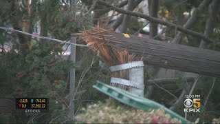 High Winds Knock Down Trees And Power Poles Across Bay Area