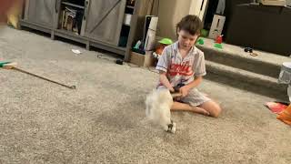 Monday night Hunter match 2- White dragon vs El Toro Loco 2