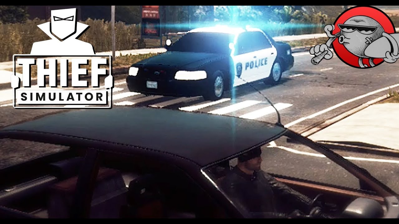 Thief simulator машины