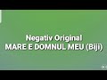 Negativ - MARE E DOMNUL MEU (Original Biji)