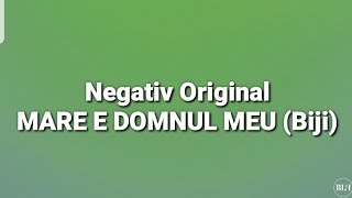 Video-Miniaturansicht von „Negativ - MARE E DOMNUL MEU (Original Biji)“