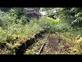 The ghost railway whats next for the anglesey central railway