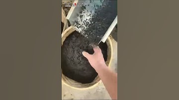 AMD-The First Optical Tea Sorting Machine