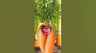 baby songs,kids songs,song,carrot,children songs,carrots,kid songs,carrot song,sing-along songs,kid baby songs,kids songs,song,carrot,children songs,carrots,kid songs,carrot song,sing-along songs,kid