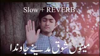 Menu Shoq Madine Jawan Da | Slowed Reverb | Best naat | islamic | Ghulam Mustafa Qadri