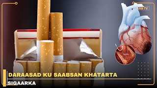 Daraasad Soo Bandhigtay Halista Sigaarka