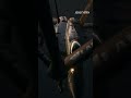 CENTCOM footage of US fighter jet refuelling mid-air