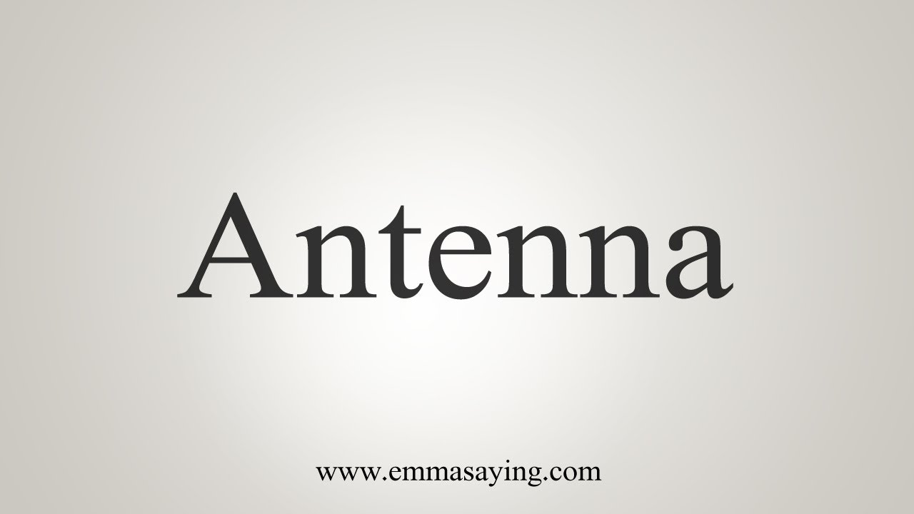 How To Say Antenna