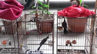 WP 20140615 012