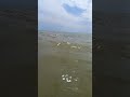 Звук моря...