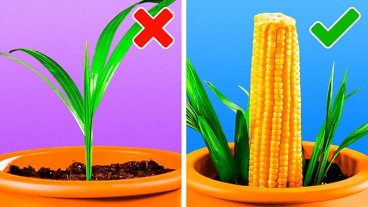 MustTry Plant Hacks for All Green Thumbs!🍃🌻 YouTube