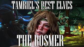 Why The Bosmer Are The Best Elves In Tamriel - Elder Scrolls Lore