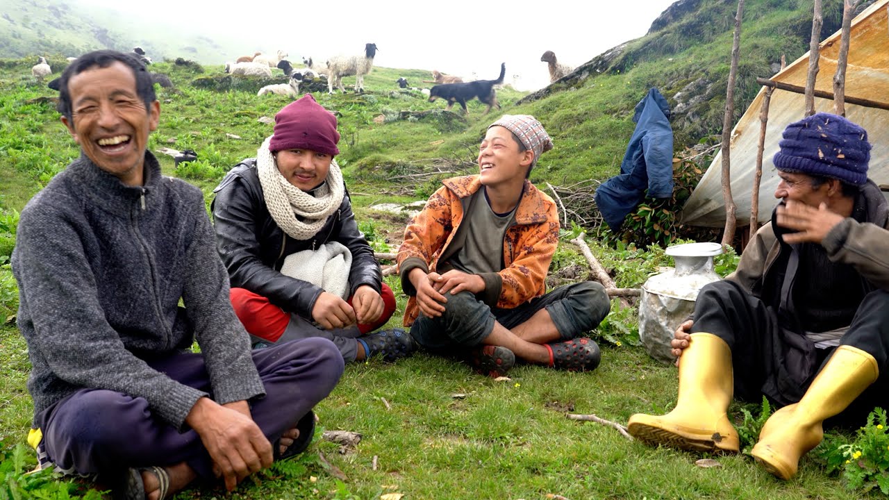 Sheep herders in the Himalayan region of Nepal live a migratory ...