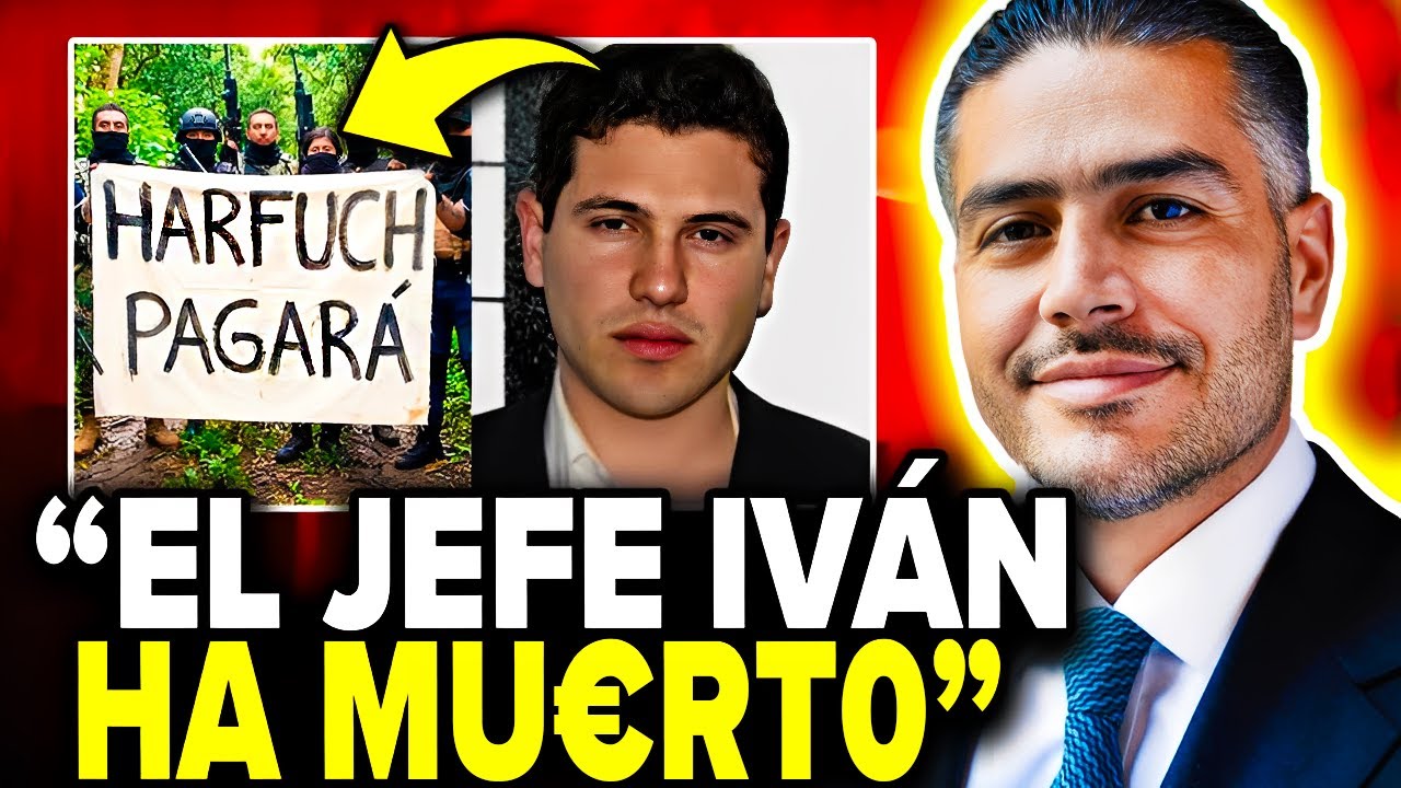 LOS CHAPITOS REACCIONAN a la MUERTE de IVAN REALIZADA por HARFUCH