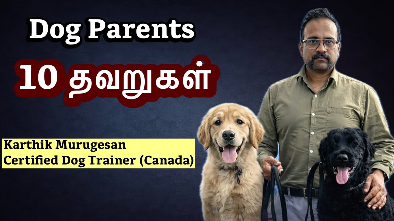 “Puppy Owner-கள் கட்டாயம் தெரிந்திருக்க வேண்டிய 10 பெரிய தவறுகள் | Dog Training Tamil”